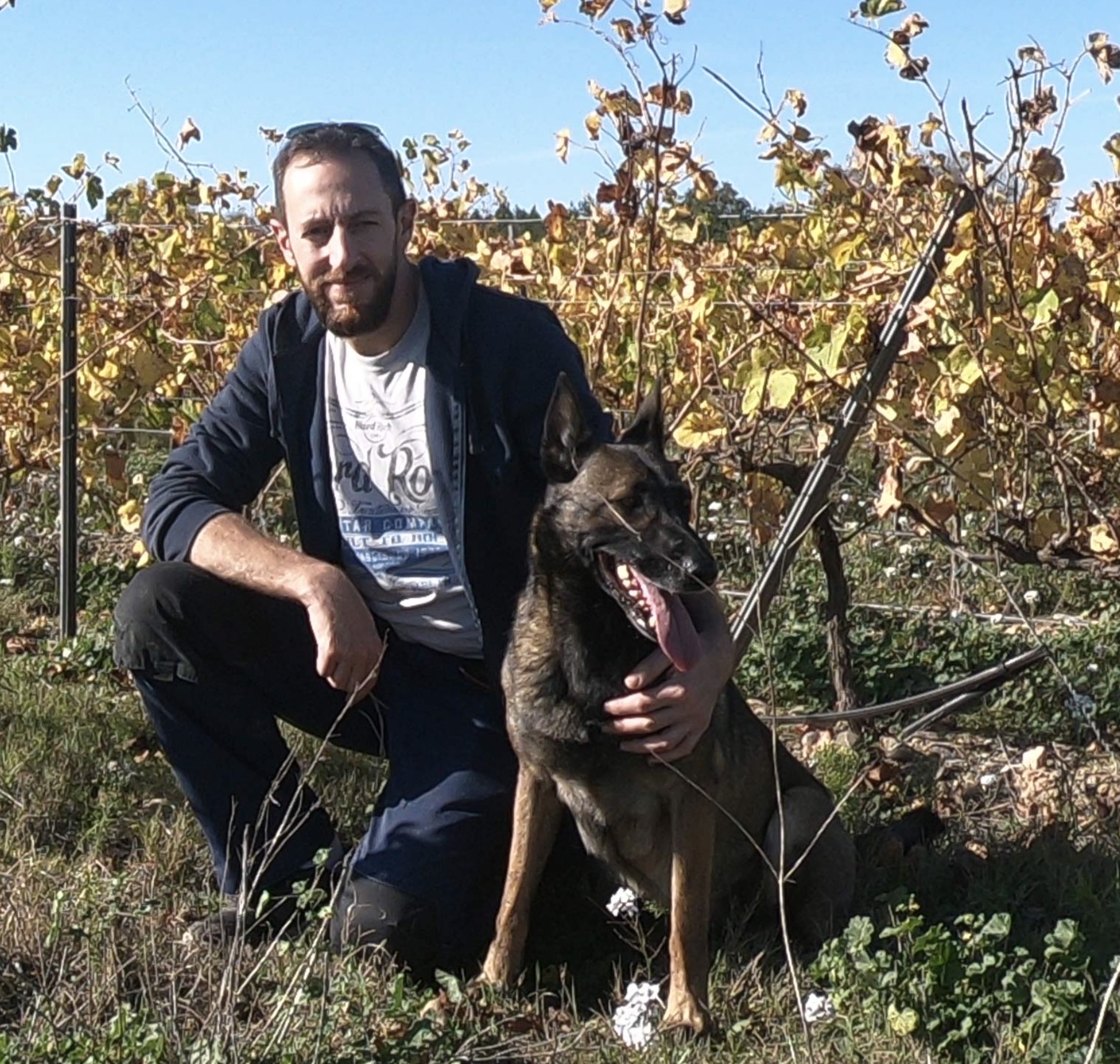 chateau_saint_mery_minervois_-_vinice-2